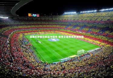 星空体育官网|潘展乐休假北欧追寻极光 体育之星照亮梦想旅程