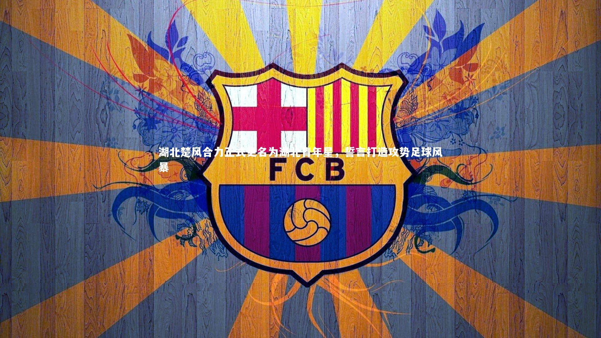 湖北楚风合力正式更名为湖北青年星，誓言打造攻势足球风暴